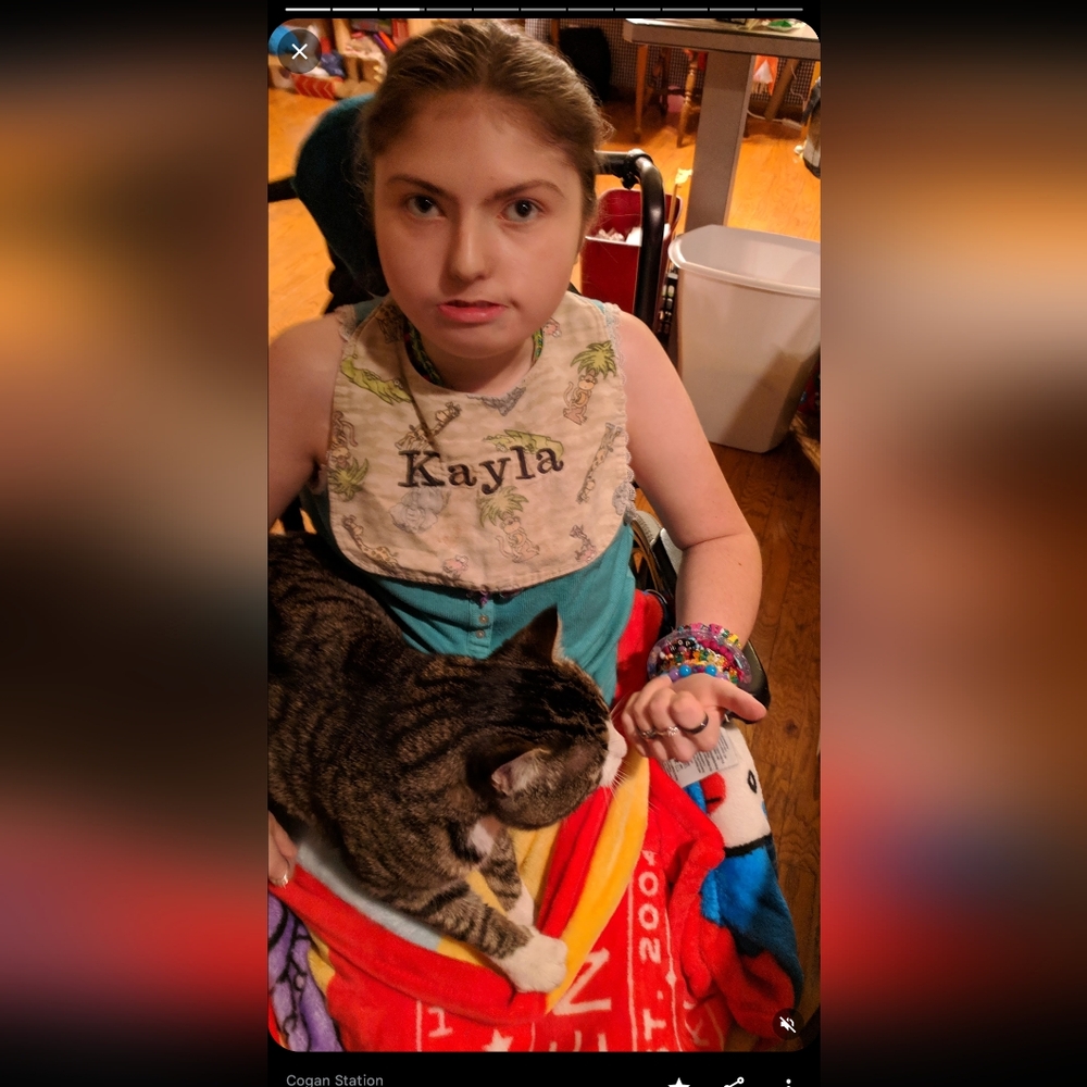 Losing your Cat Comfort Pet Companion